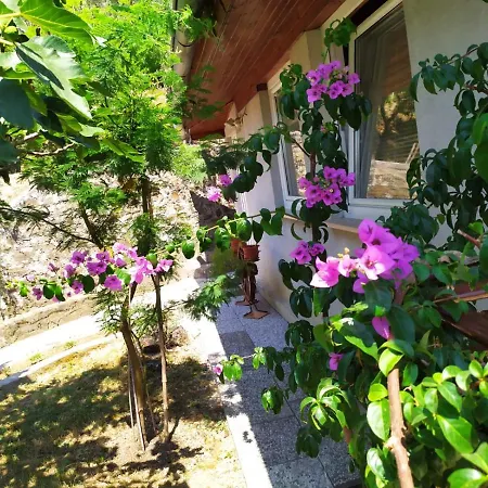 Hisa Lili Za Miren Oddih - Lili House For A Peaceful Getaway 아파트 *