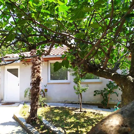 Hisa Lili Za Miren Oddih - Lili House For A Peaceful Getaway *