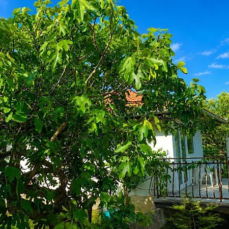 Hisa Lili Za Miren Oddih - Lili House For A Peaceful Getaway * 포르토로즈